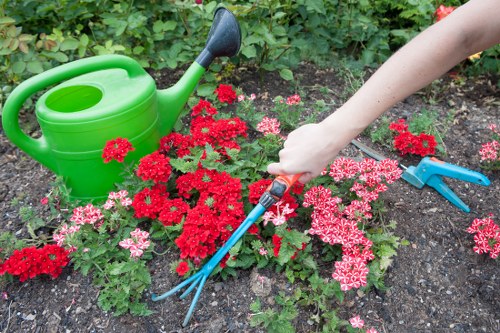 Expert driveway maintenance services