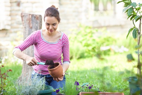 Eco-friendly driveway cleaning process