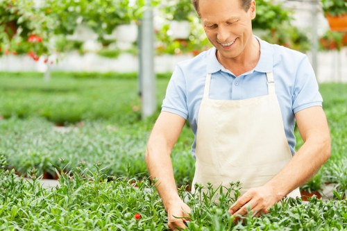 Eco-friendly cleaning solutions for driveways