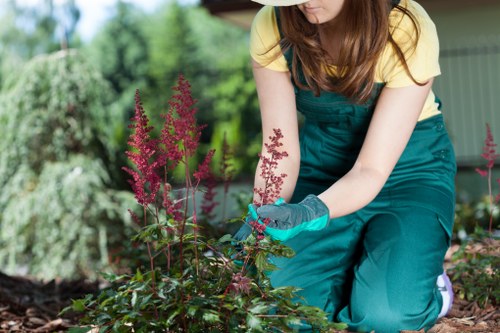 Eco-friendly driveway cleaning solutions