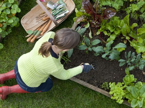 Eco-friendly driveway cleaning solutions